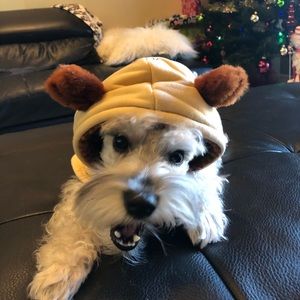 Meet your Posher, Rene